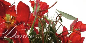 Danke ...