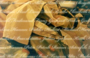 Lebendige Erinnerung