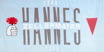 hannesZellermayer